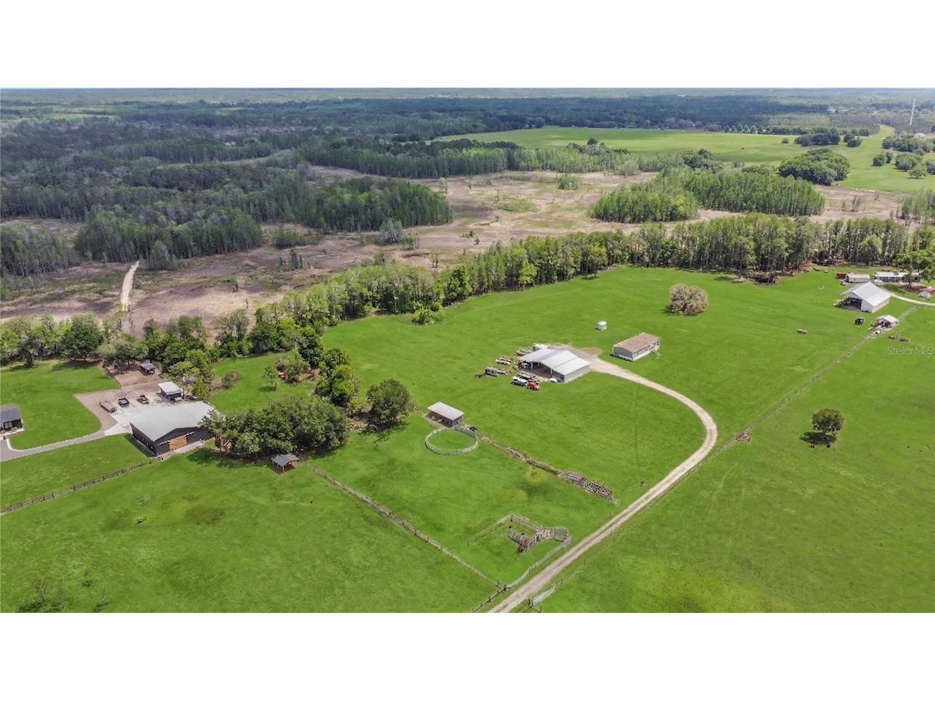 9650 Cockatoo Lane Groveland FL 34736 O6408839 image1