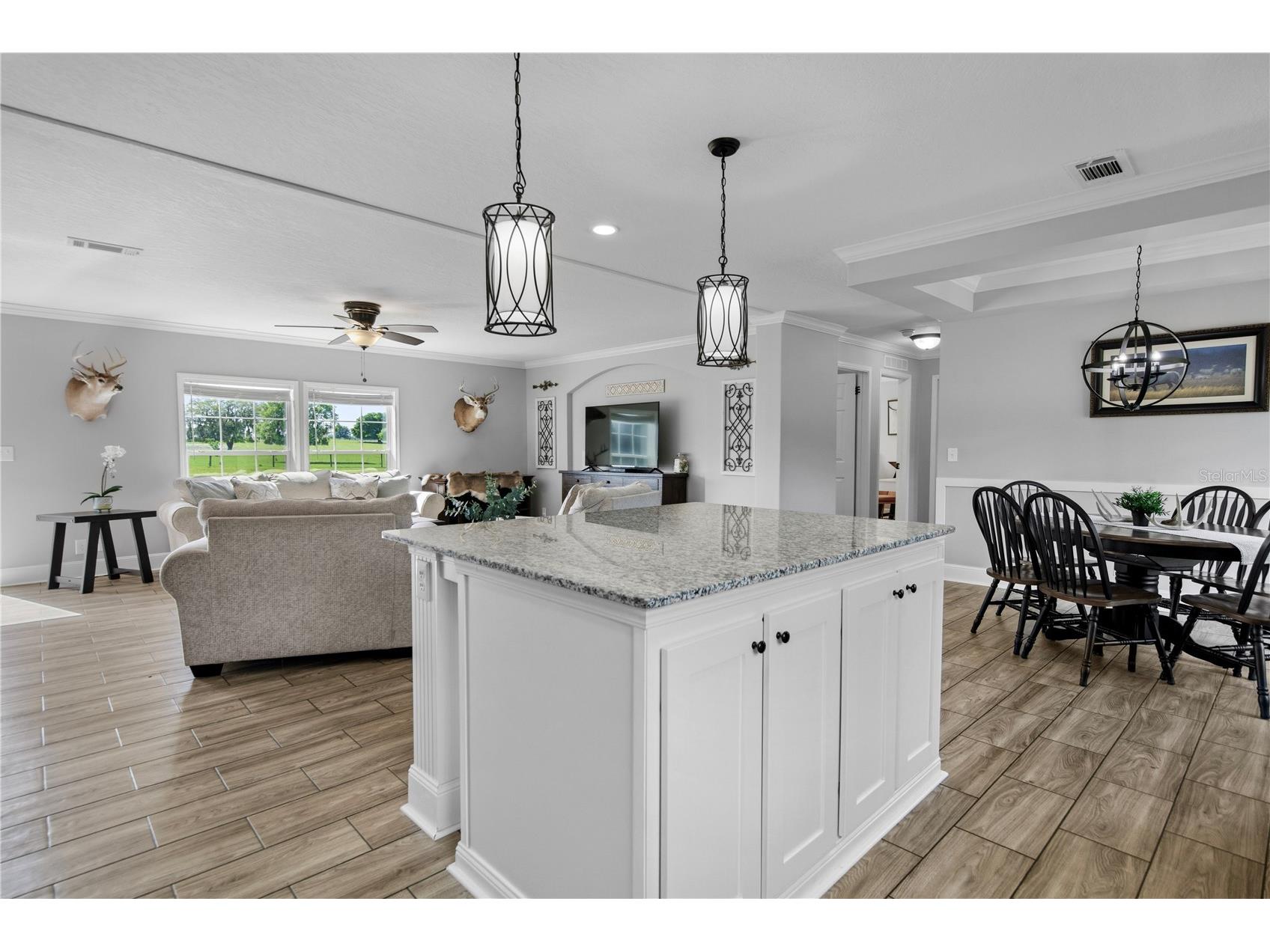 9650 Cockatoo Lane Groveland FL 34736 O6408839 image16