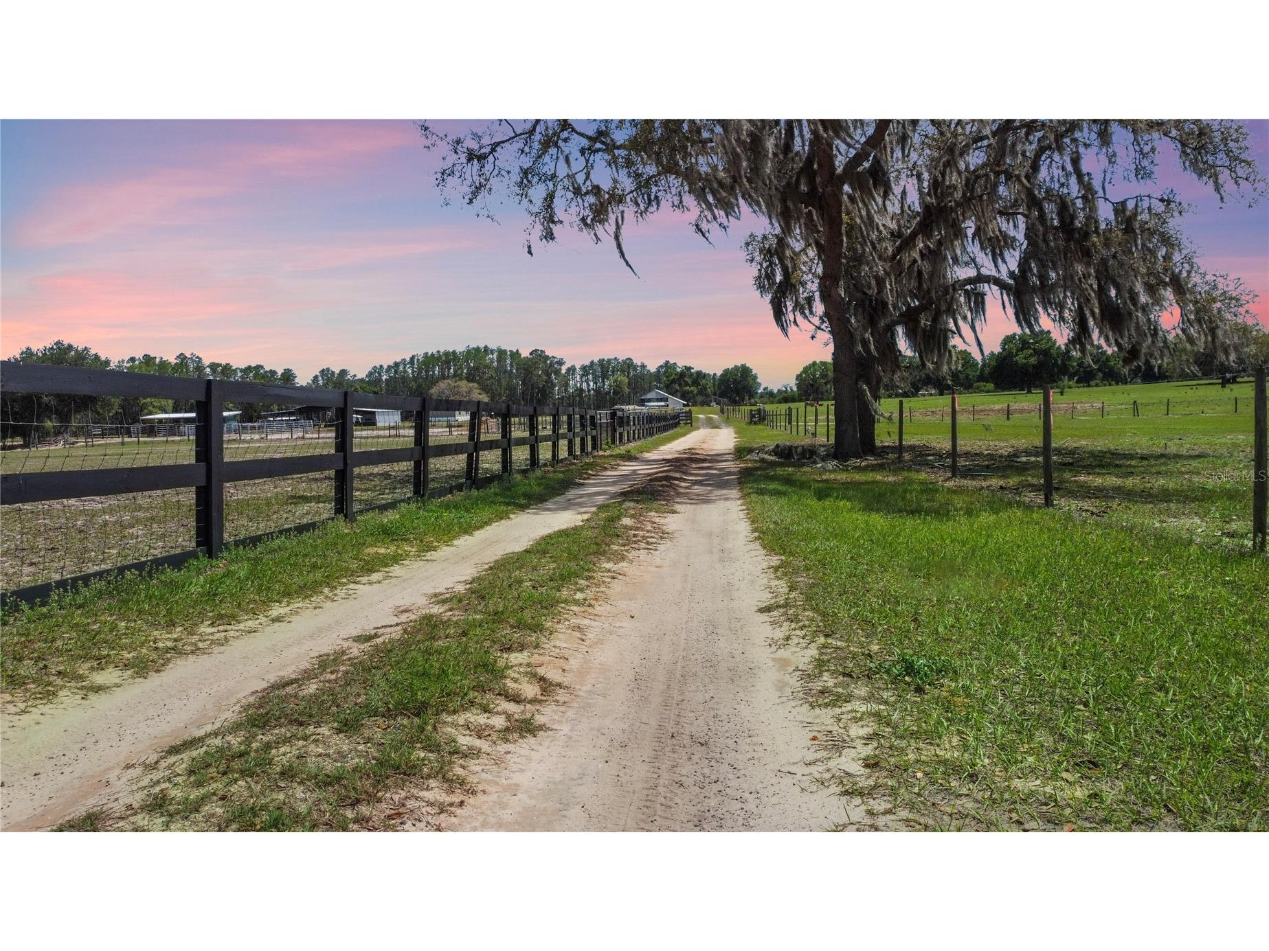 9650 Cockatoo Lane Groveland FL 34736 O6408839 image2