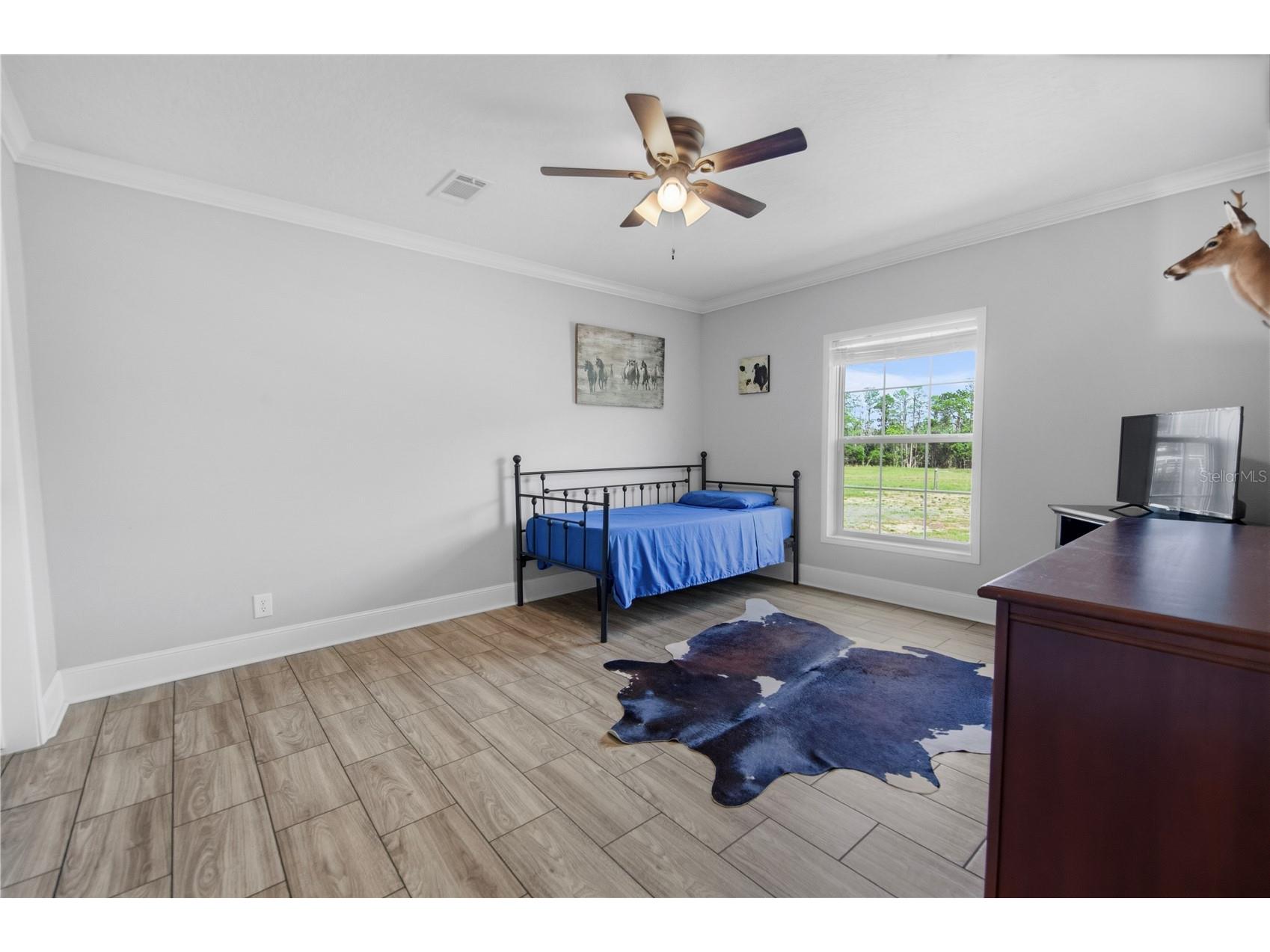 9650 Cockatoo Lane Groveland FL 34736 O6408839 image35