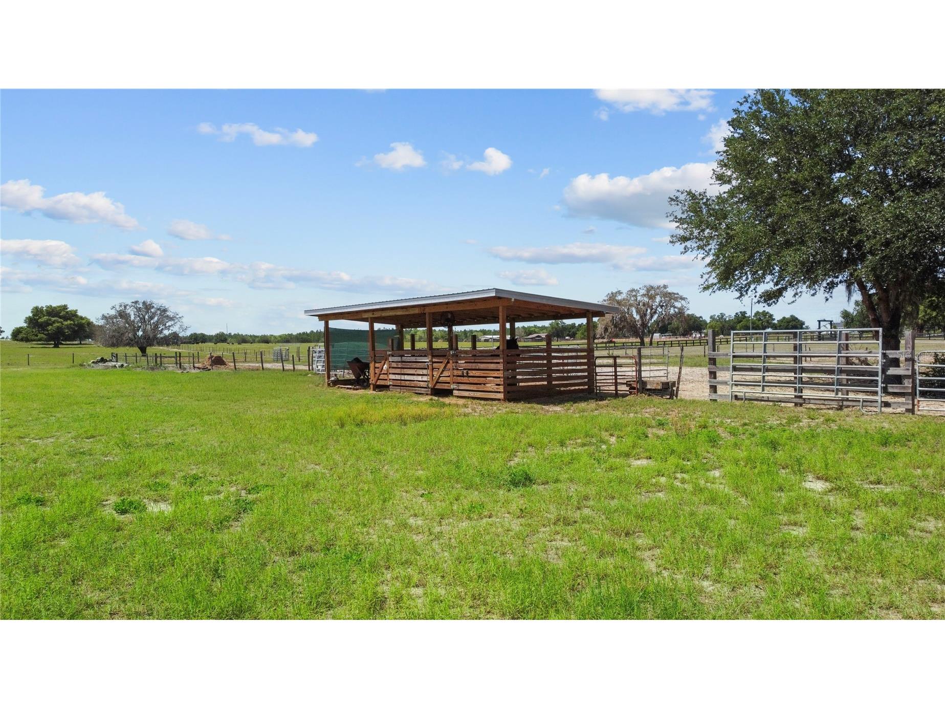 9650 Cockatoo Lane Groveland FL 34736 O6408839 image38