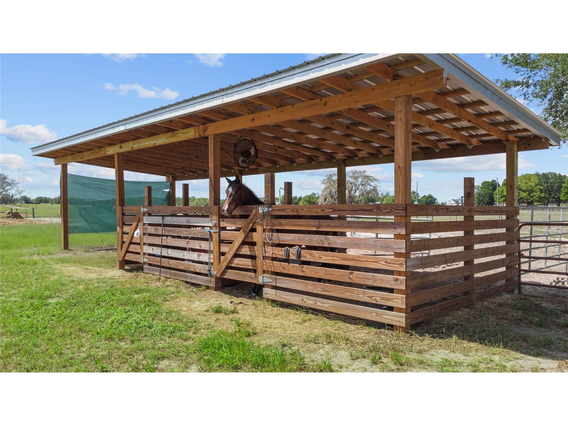 9650 Cockatoo Lane Groveland FL 34736 O6408839 image39