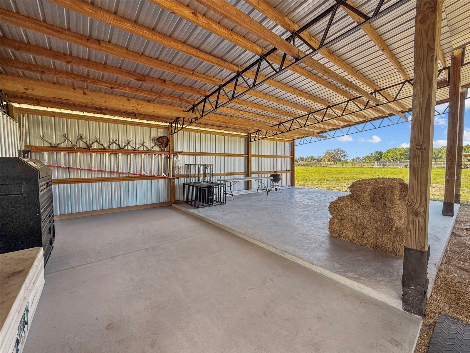 9650 Cockatoo Lane Groveland FL 34736 O6408839 image4
