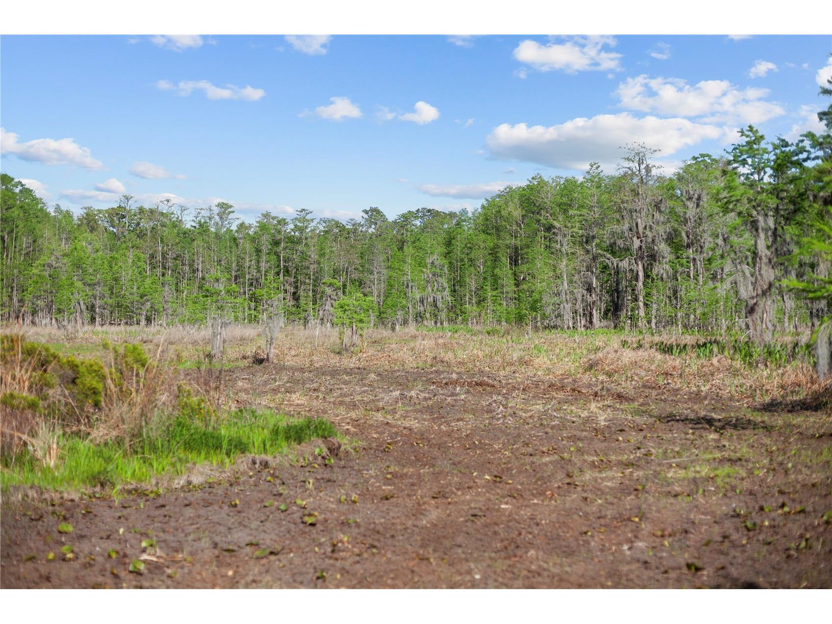 9650 Cockatoo Lane Groveland FL 34736 O6408839 image48