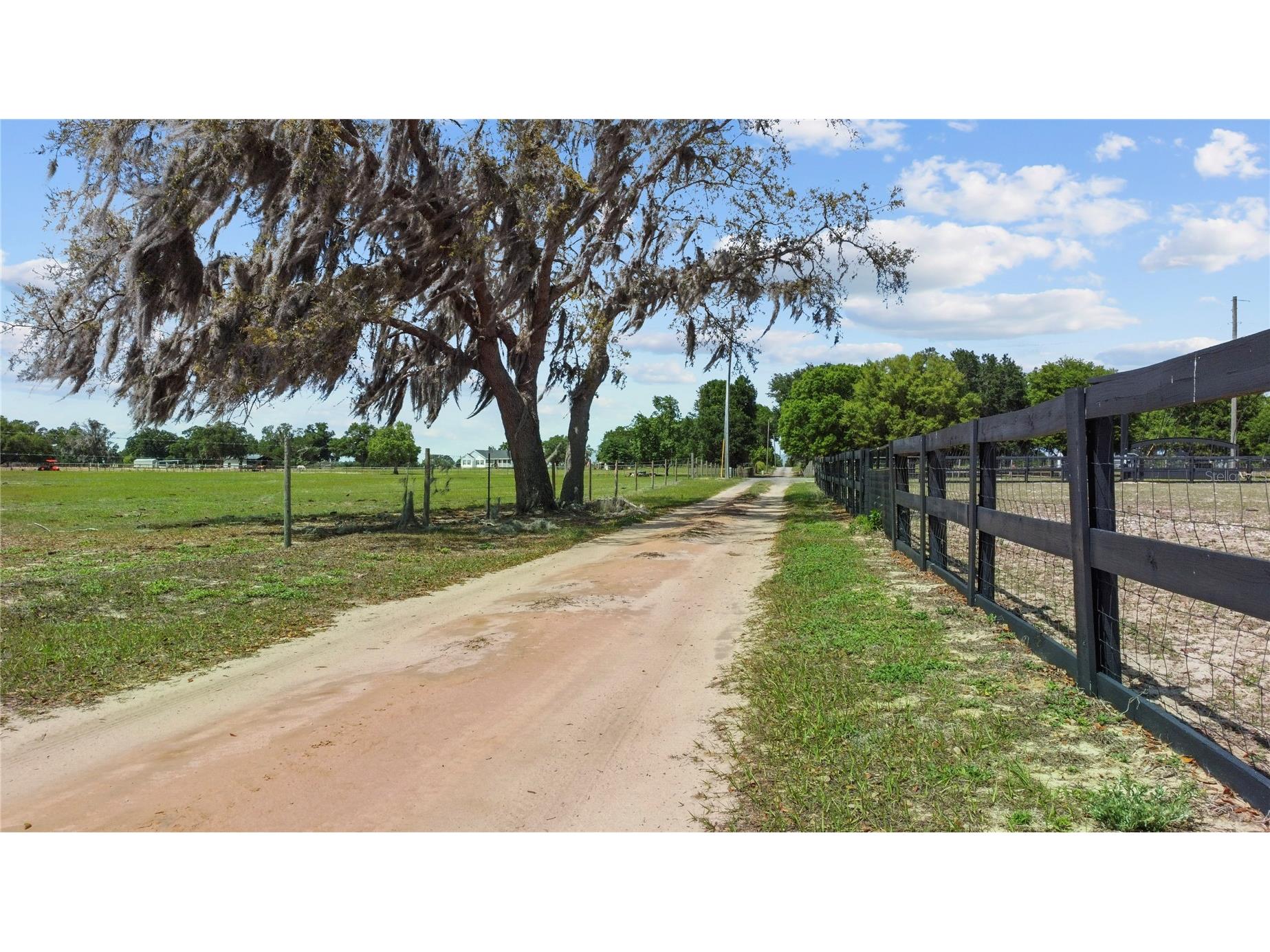 9650 Cockatoo Lane Groveland FL 34736 O6408839 image53
