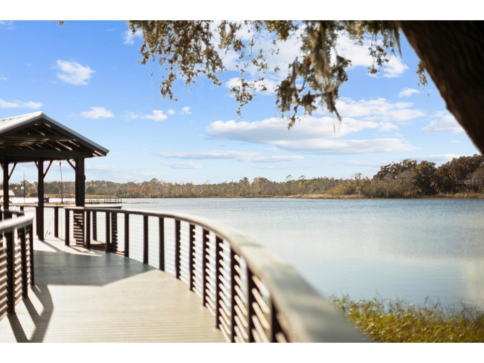 9650 Cockatoo Lane Groveland FL 34736 O6408839 image56