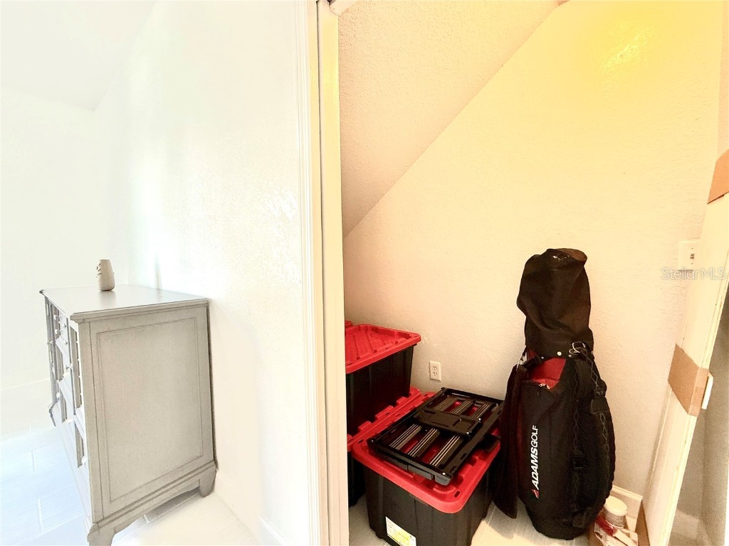 9650 Lake Chase Island Way #9650 Tampa FL 33626 TB8376684 image13