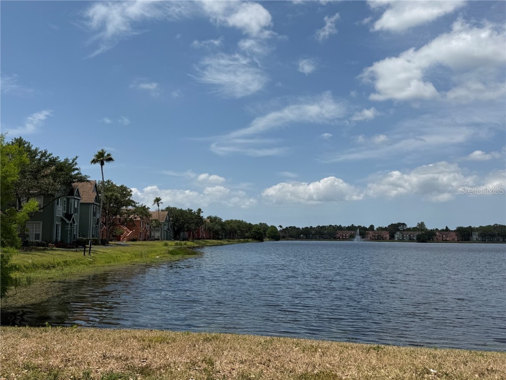 9650 Lake Chase Island Way #9650 Tampa FL 33626 TB8376684 image23