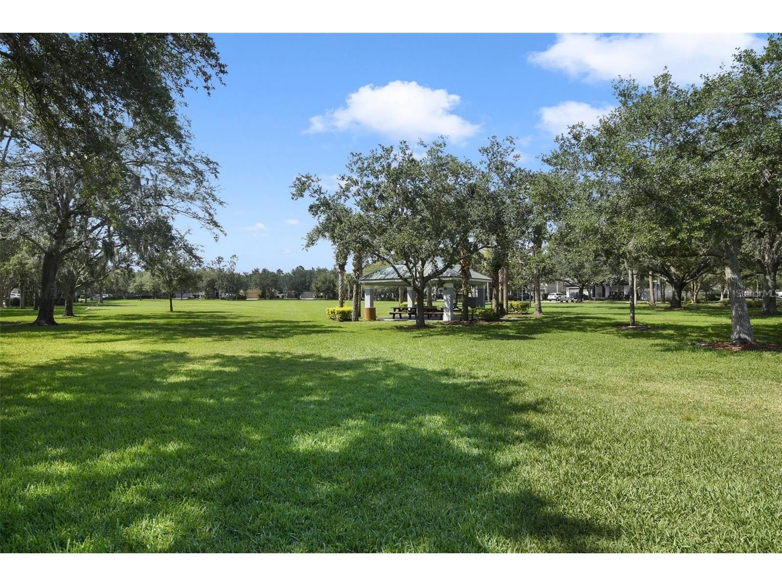 9650 Loblolly Pine Circle Orlando FL 32827 O6376888 image47