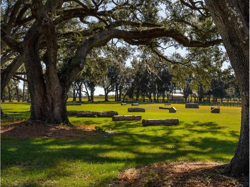 9651 NW 80th Avenue Ocala FL 34482 OM714445 image27