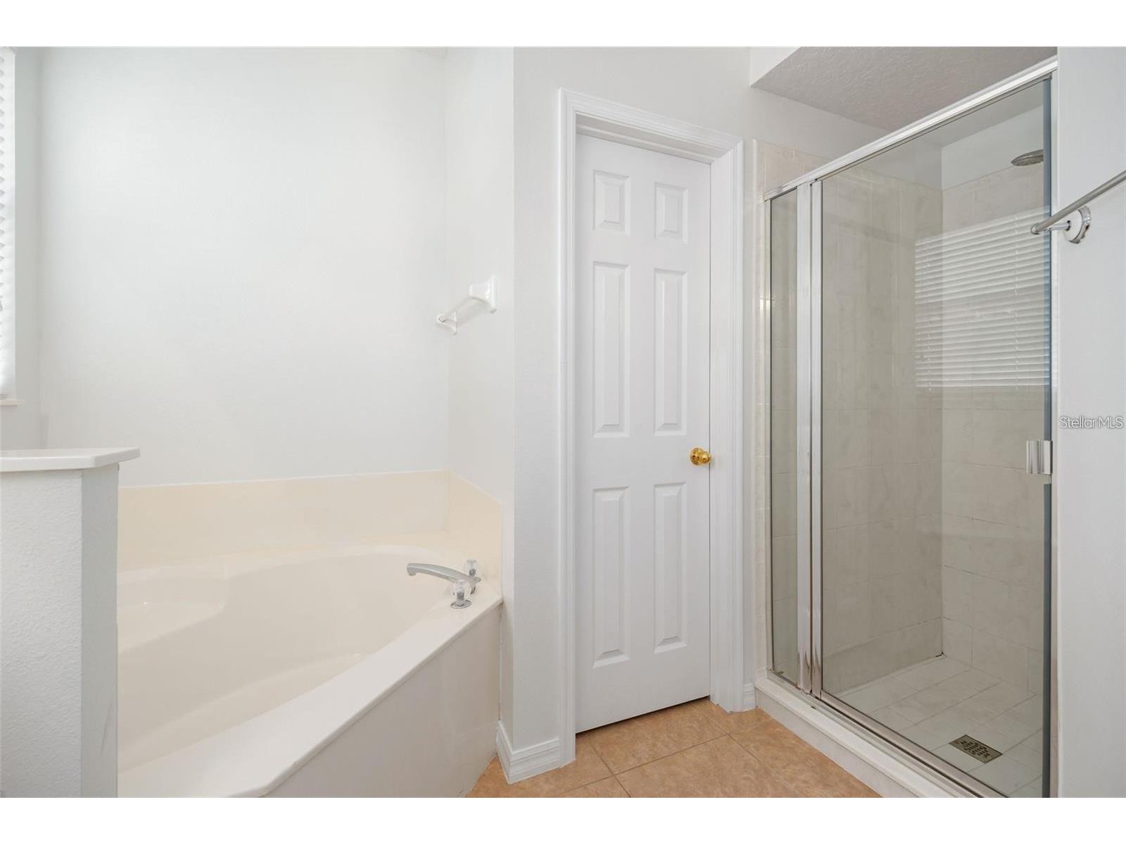 9651 Old Marsh Court Orlando FL 32832 R4911036 image18