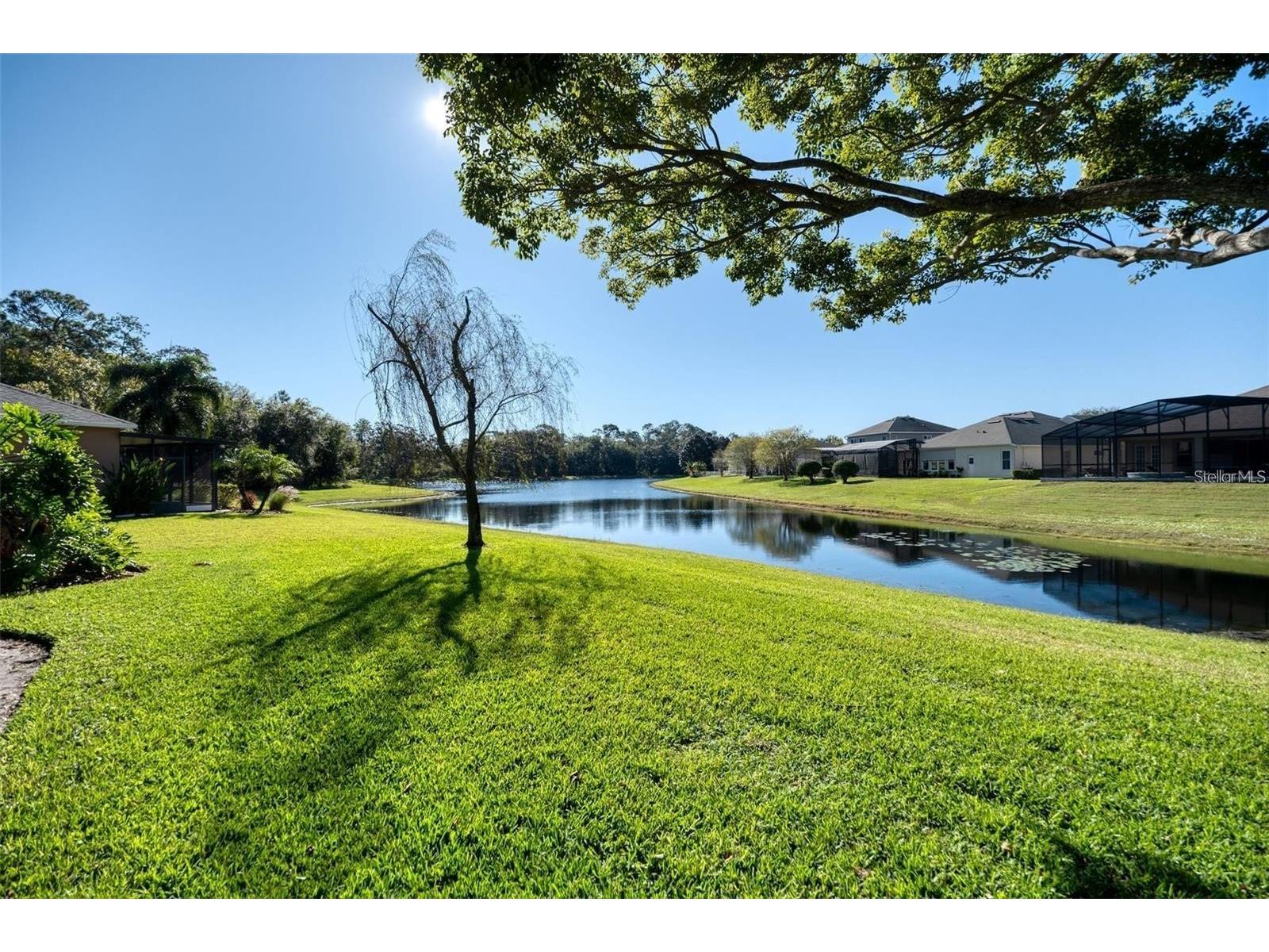 9651 Old Marsh Court Orlando FL 32832 R4911036 image27