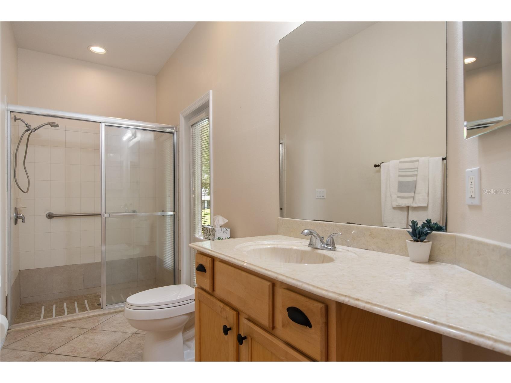 9651 Spring Lake Drive Clermont FL 34711 TB8520115 image45