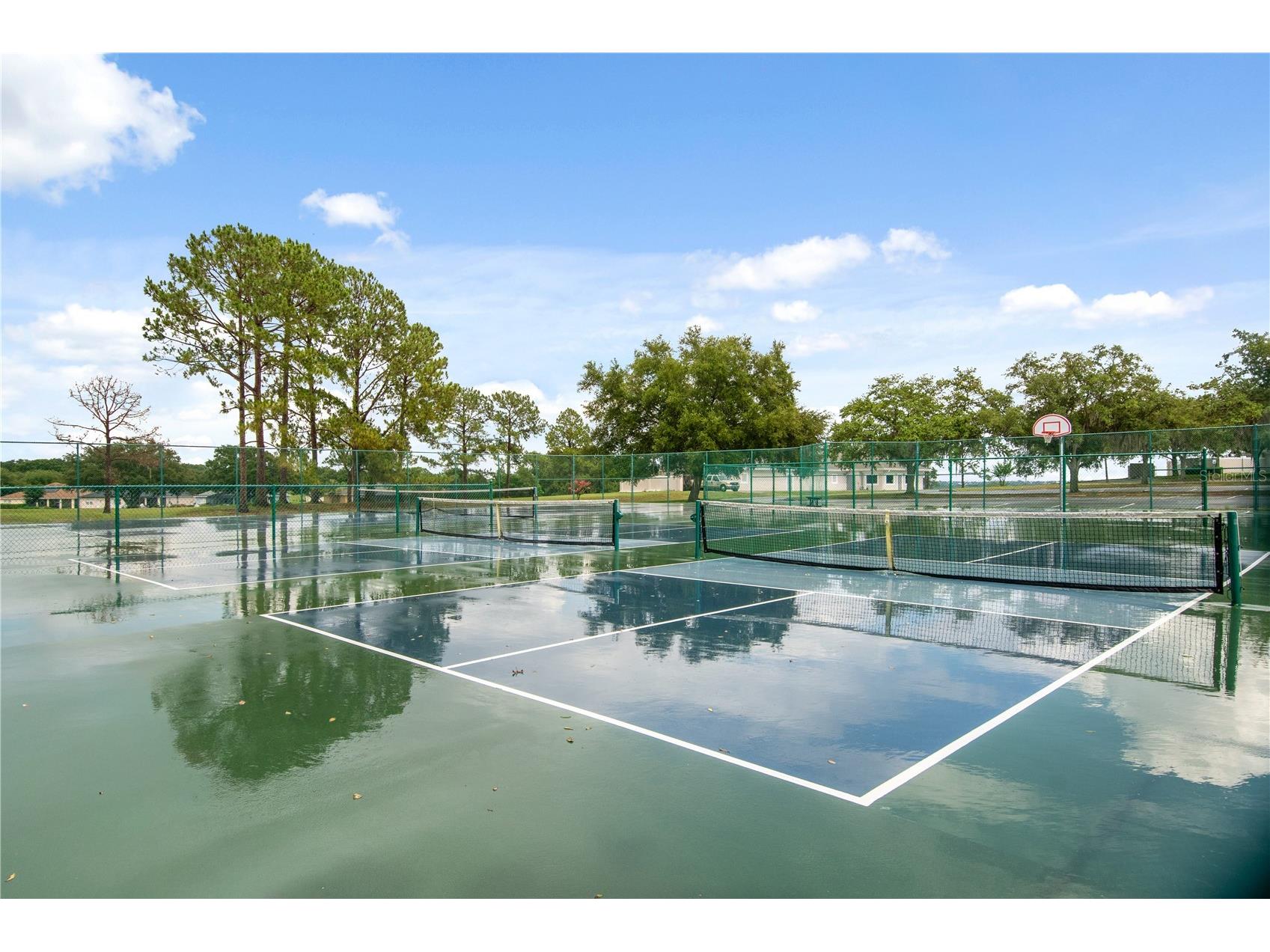 9651 Spring Lake Drive Clermont FL 34711 TB8520115 image57