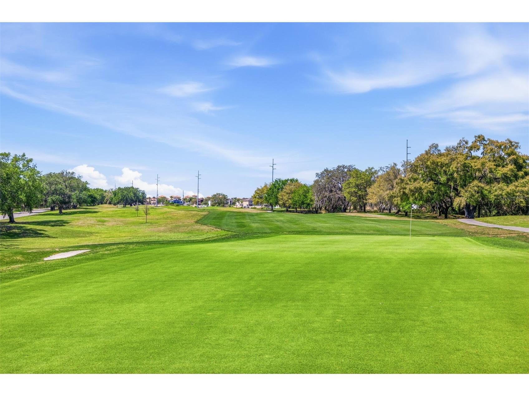 9651 Venturi Drive Trinity FL 34655 TB8487610 image44