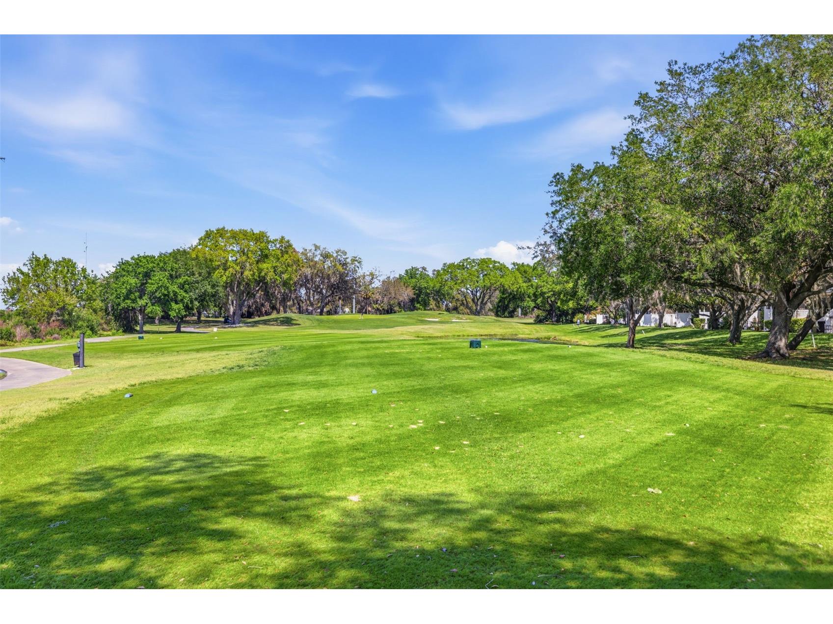 9651 Venturi Drive Trinity FL 34655 TB8487610 image45