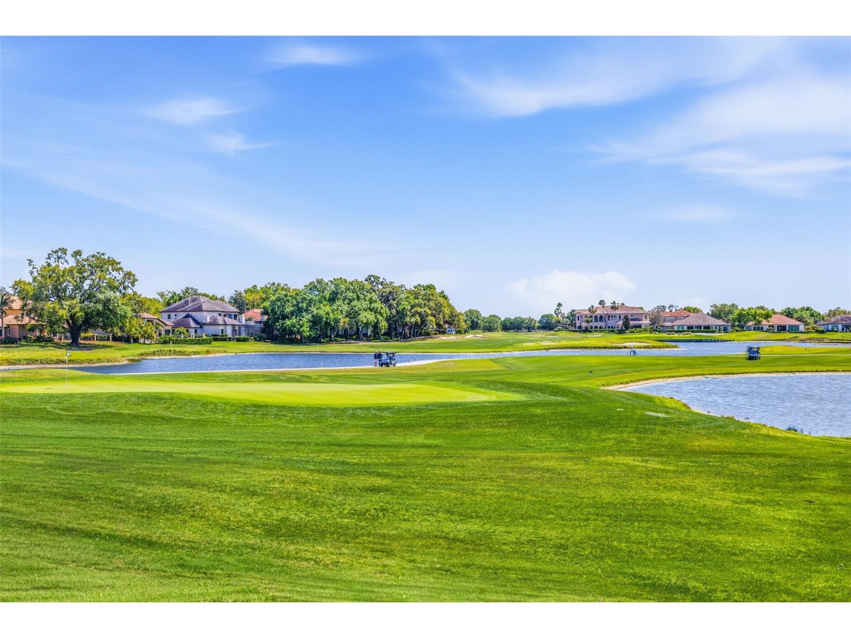 9651 Venturi Drive Trinity FL 34655 TB8487610 image47