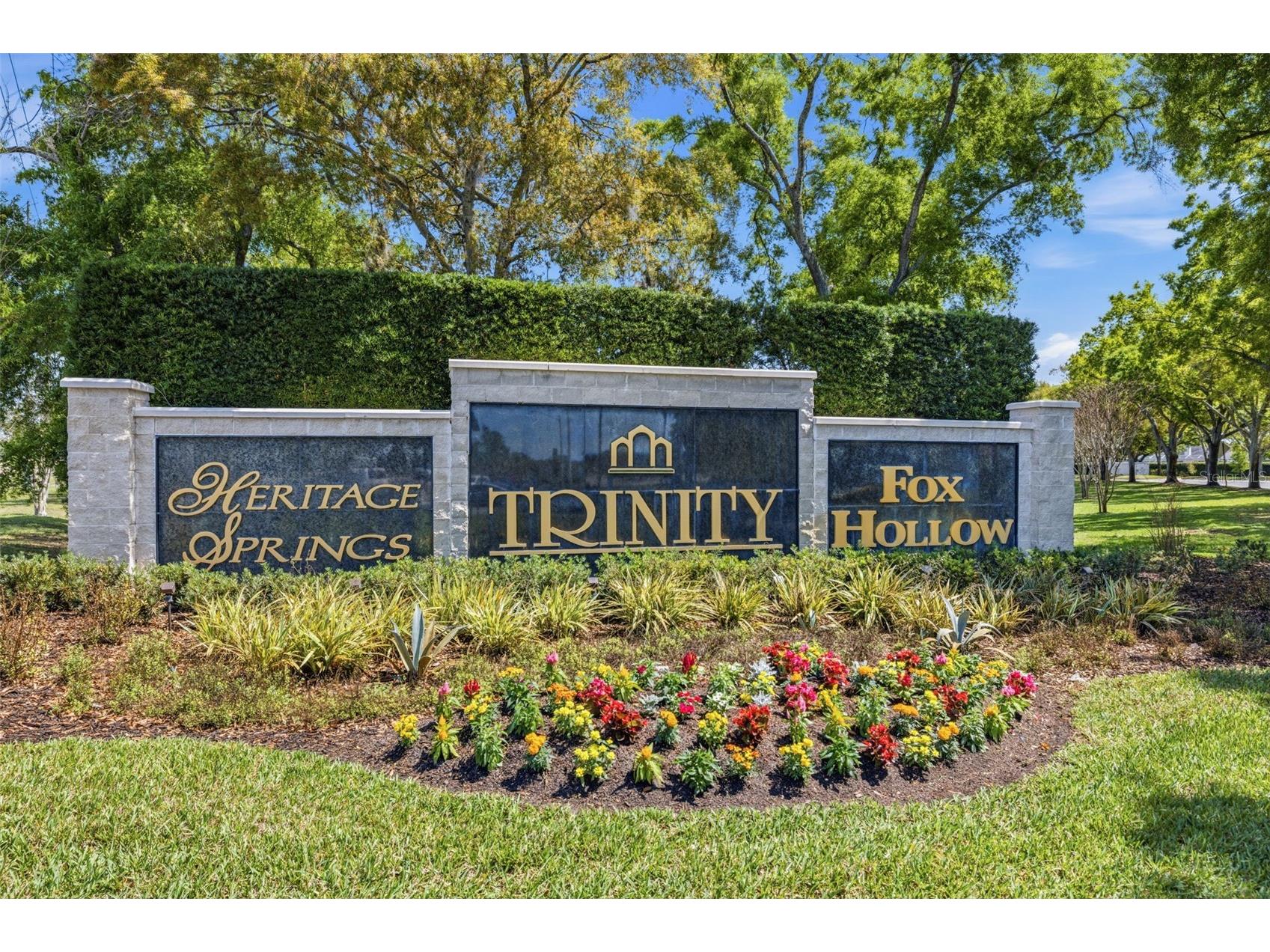 9651 Venturi Drive Trinity FL 34655 TB8487610 image52