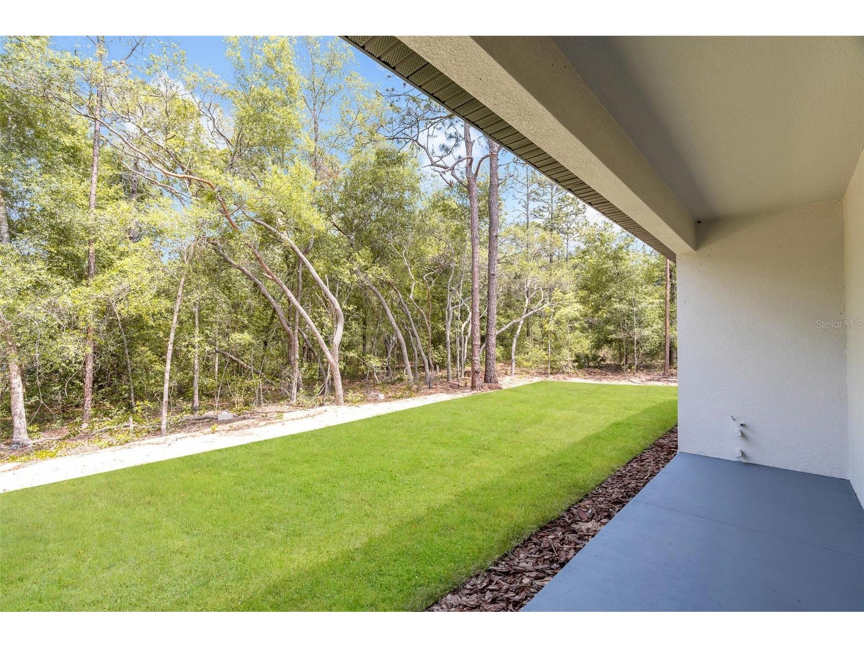 9651 W Pineview Way Dunnellon FL 34434 O6405944 image47