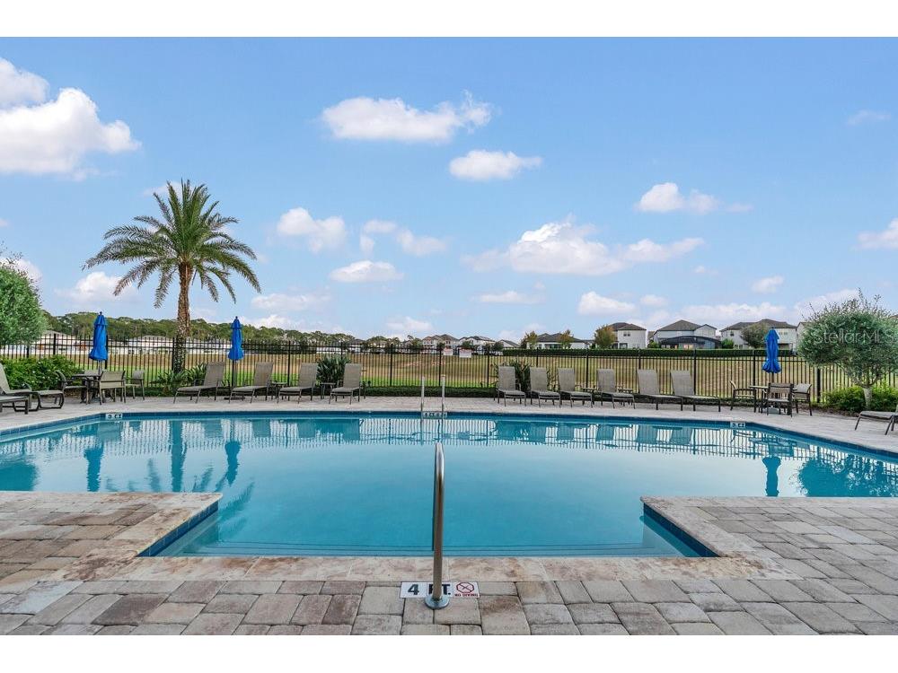 9652 Amber Chestnut Way Winter Garden FL 34787 O6365759 image39