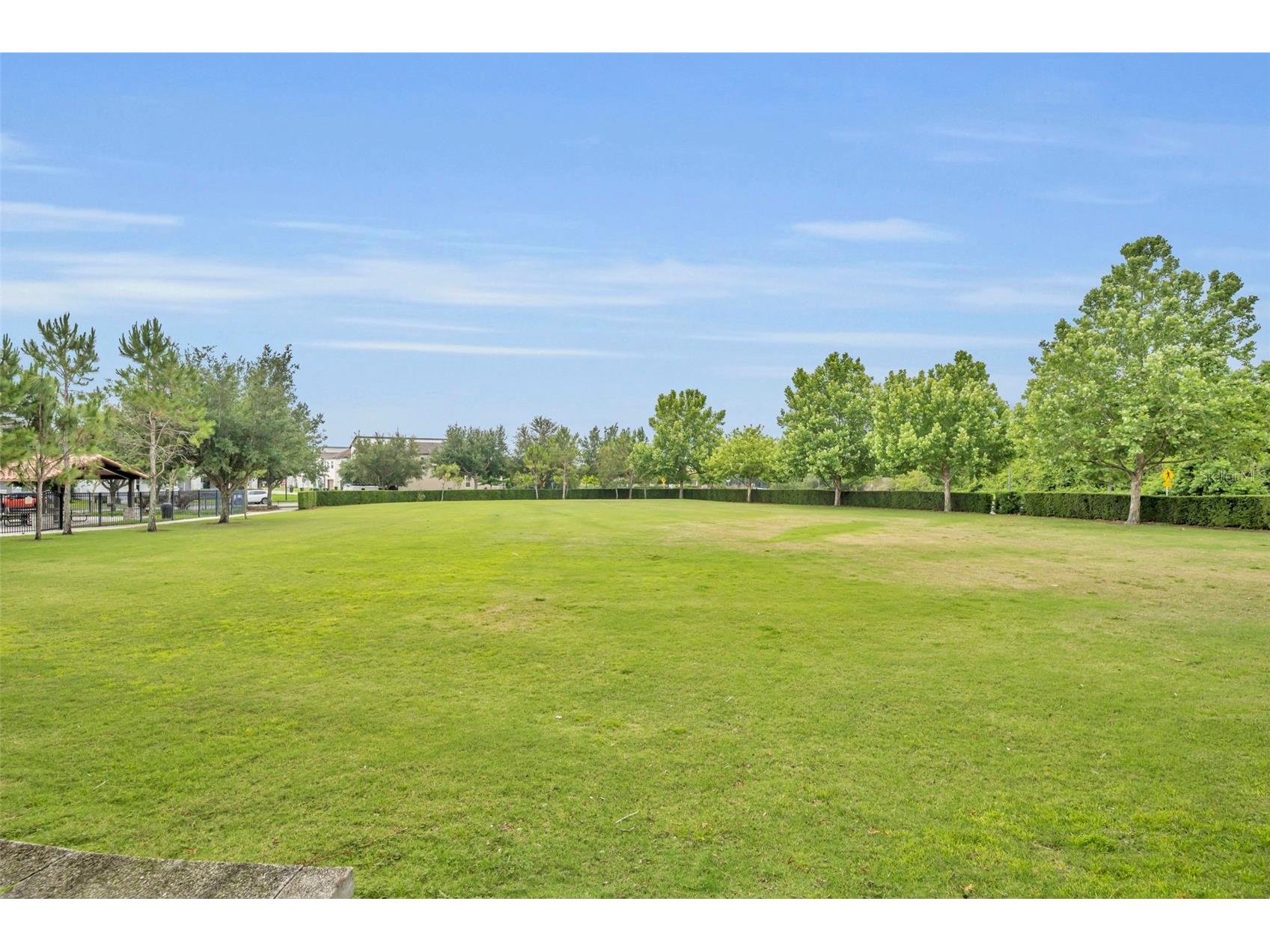9652 Amber Chestnut Way Winter Garden FL 34787 O6409704 image39
