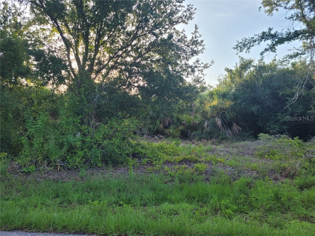 9653 & 9661 President Circle Port Charlotte FL 33981 D6136968 image3