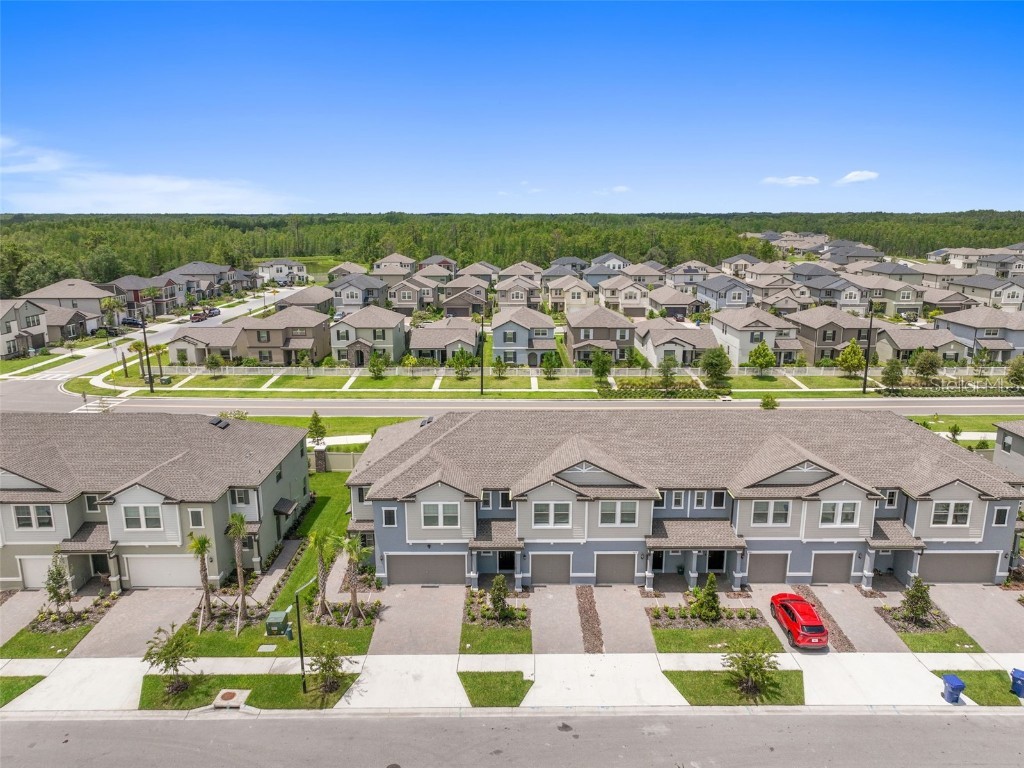 9653 Ashworth Place Land O Lakes FL 34637 TB8433273 image63