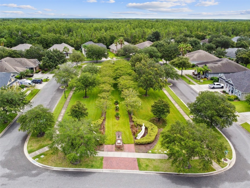 9653 Ashworth Place Land O Lakes FL 34637 TB8435200 image82