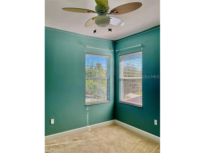 9654 Jasmine Brook Circle Land O Lakes FL 34638 TB8503928 image23