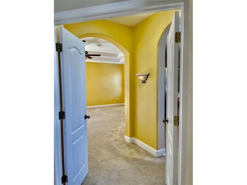 9654 Jasmine Brook Circle Land O Lakes FL 34638 TB8503928 image8