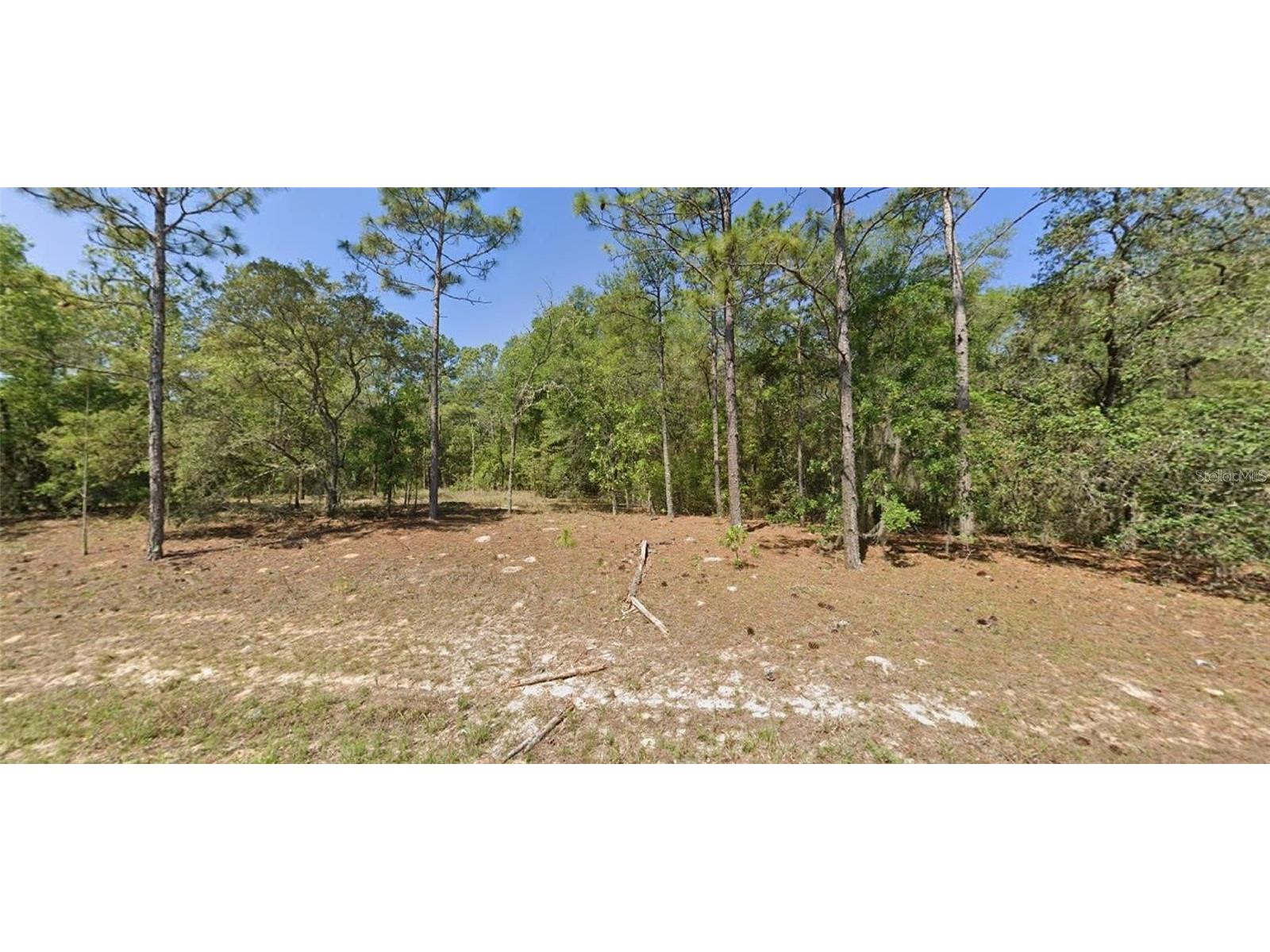 9654 N Dearing Loop Citrus Springs FL 34434 O6264805 image1