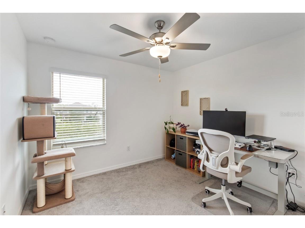 9657 Ashworth Place Land O Lakes FL 34637 TB8435400 image22