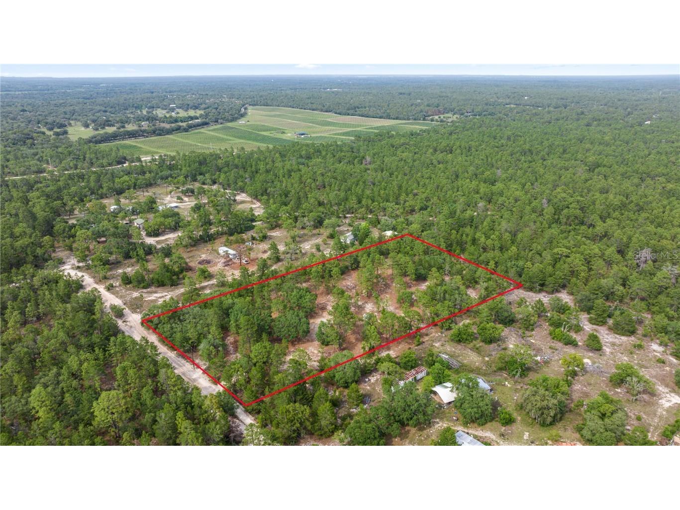 9657 N Timber Creek Terrace Dunnellon FL 34433 OM687009 image1