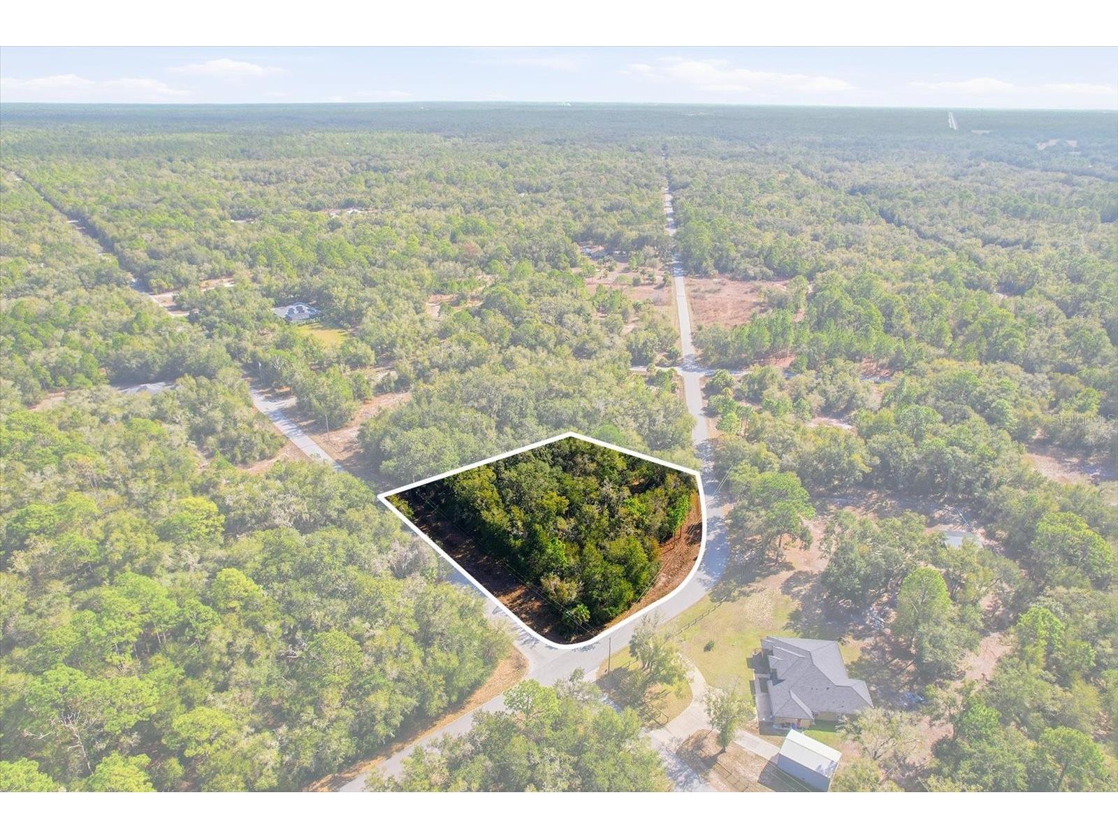 9659 N Cacalia Drive Crystal River FL 34428 TB8463188 image1