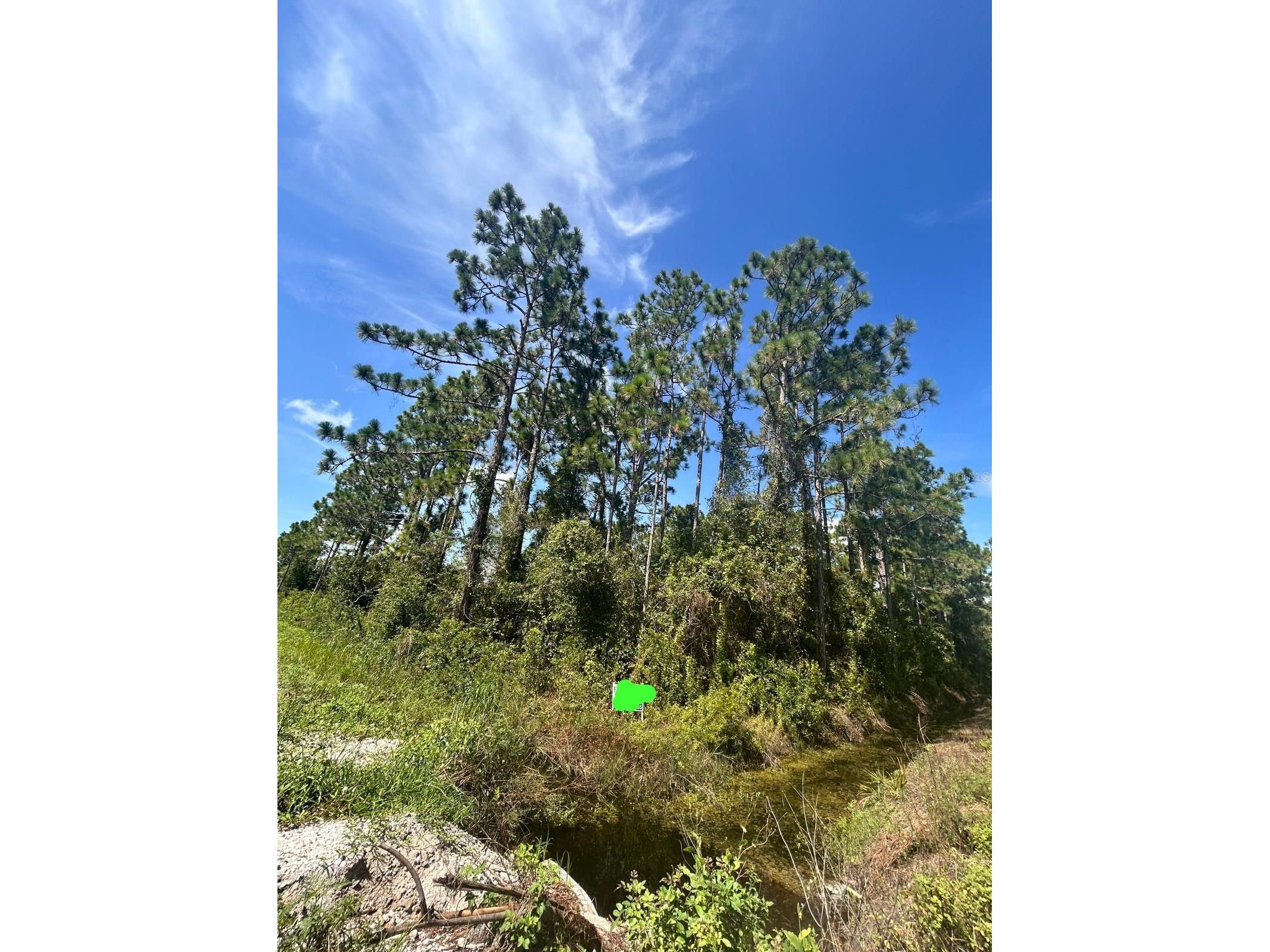 966 Challenger Street NW Lake Placid FL 33852 TB8478919 image2