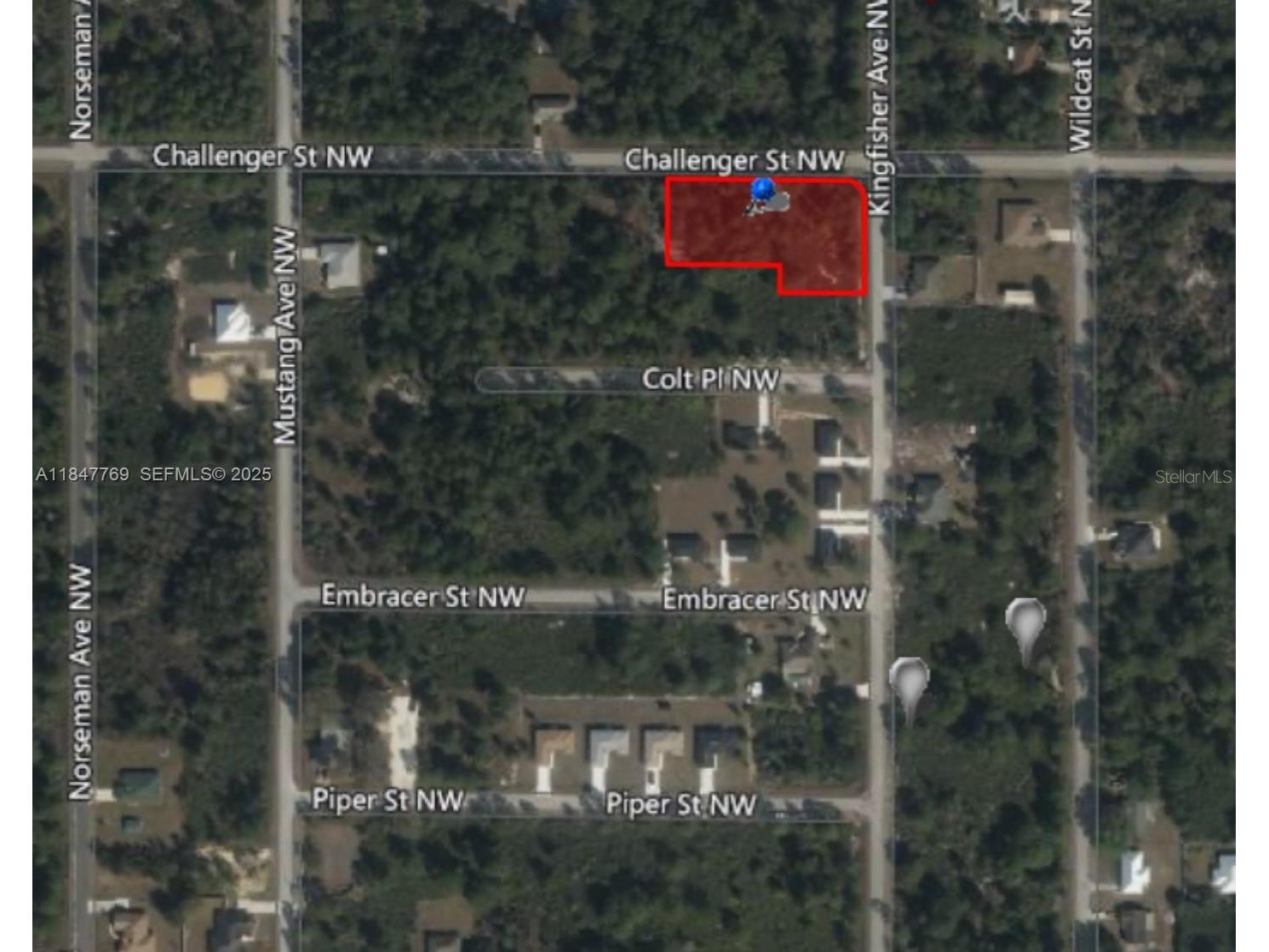 966 Challenger Street NW Lake Placid FL 33852 TB8478919 image3