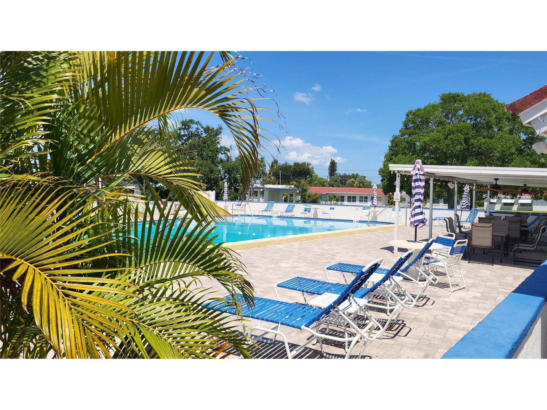 9660 44th Street N Pinellas Park FL 33782 TB8511198 image10