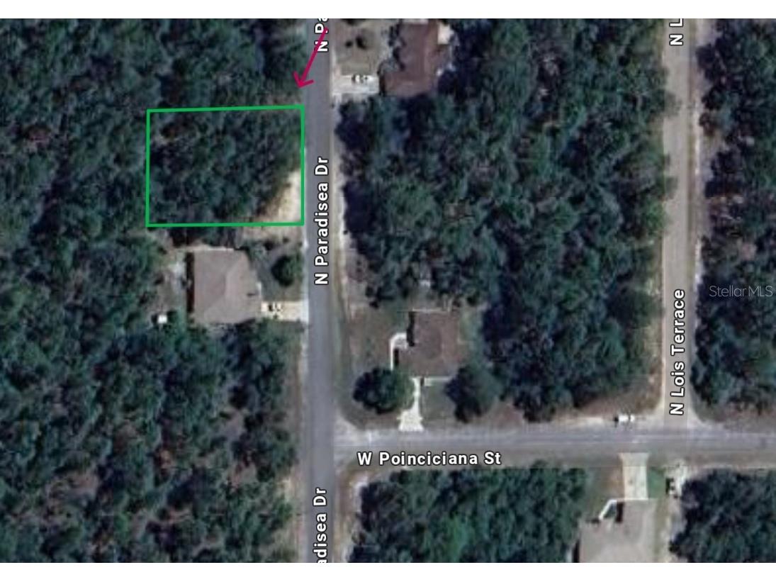 9660 N Paradisea Drive Citrus Springs FL 34433 S5125411 image1