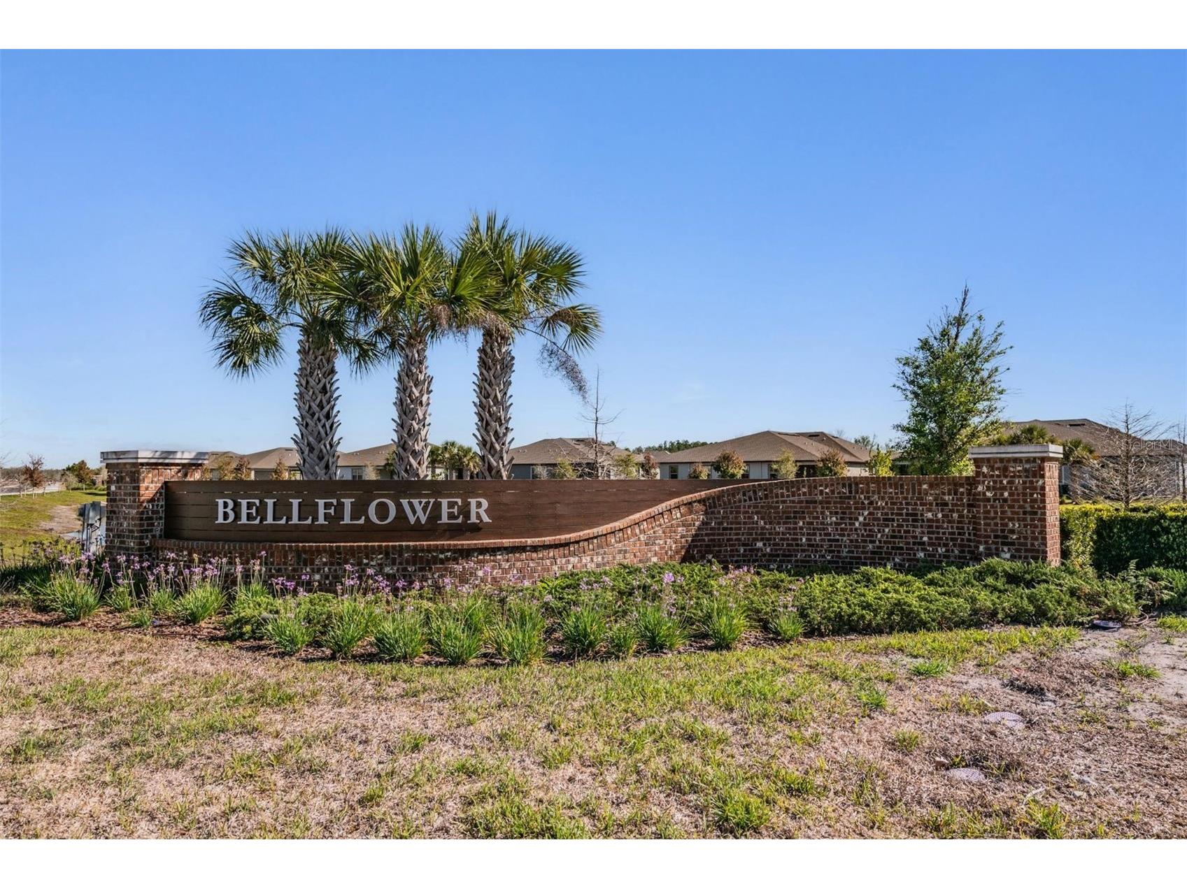 9661 Ashworth Place Land O Lakes FL 34637 TB8490506 image36