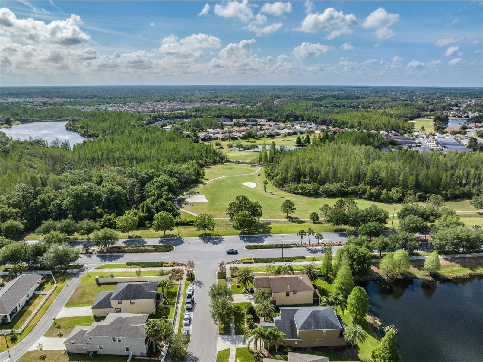 9661 Ashworth Place Land O Lakes FL 34637 TB8490506 image47