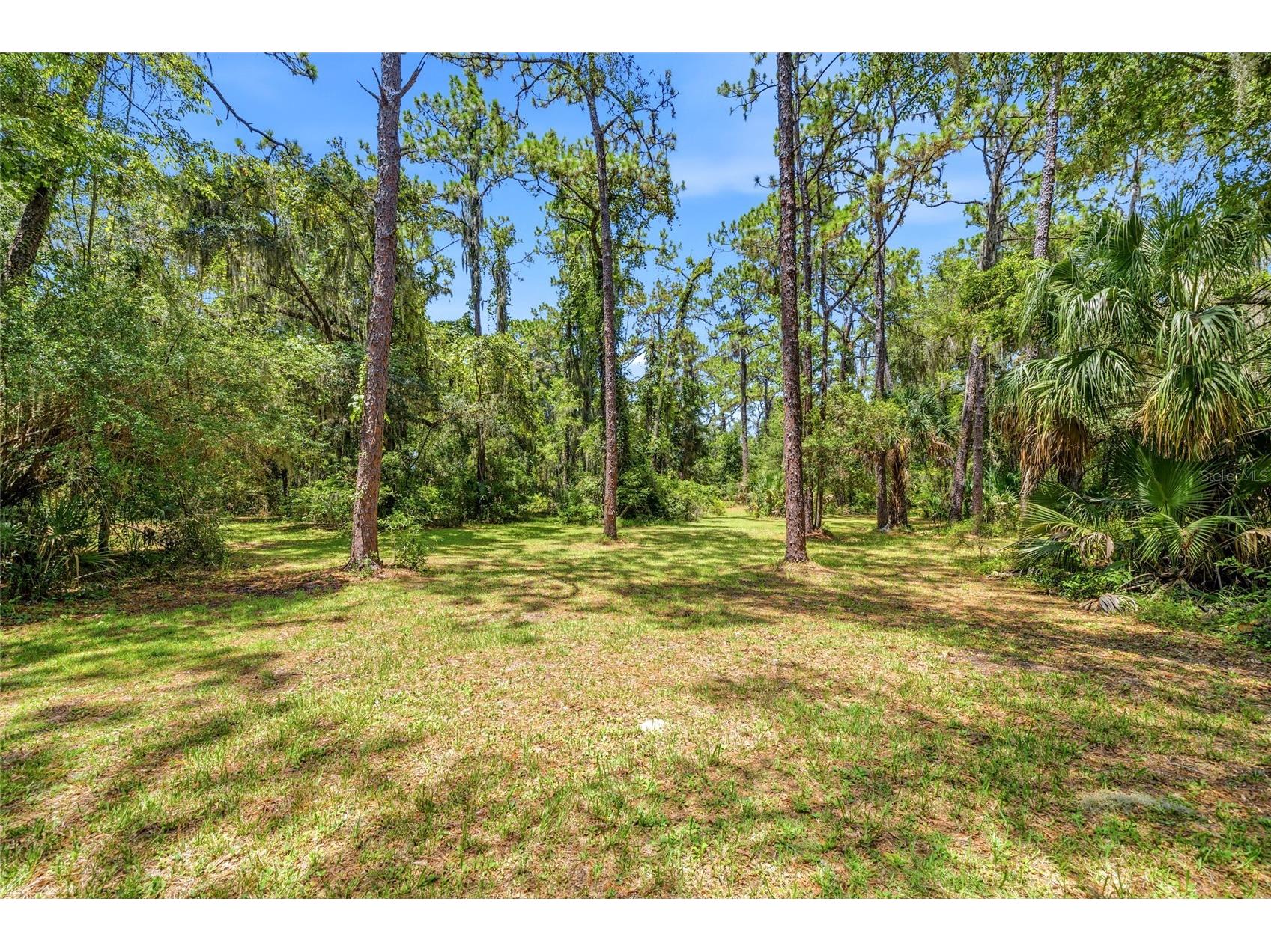 9661 W Deepwoods Drive Crystal River FL 34428 TB8531134 image40