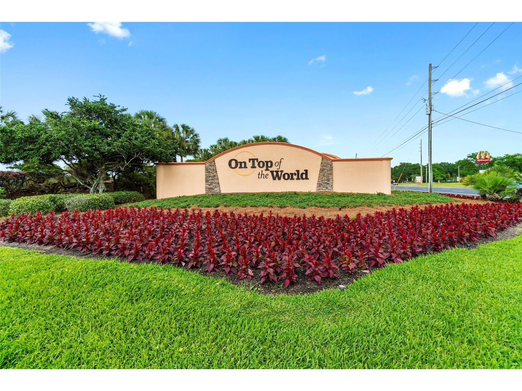 9662 SW 93rd Loop Ocala FL 34481 W7883912 image52