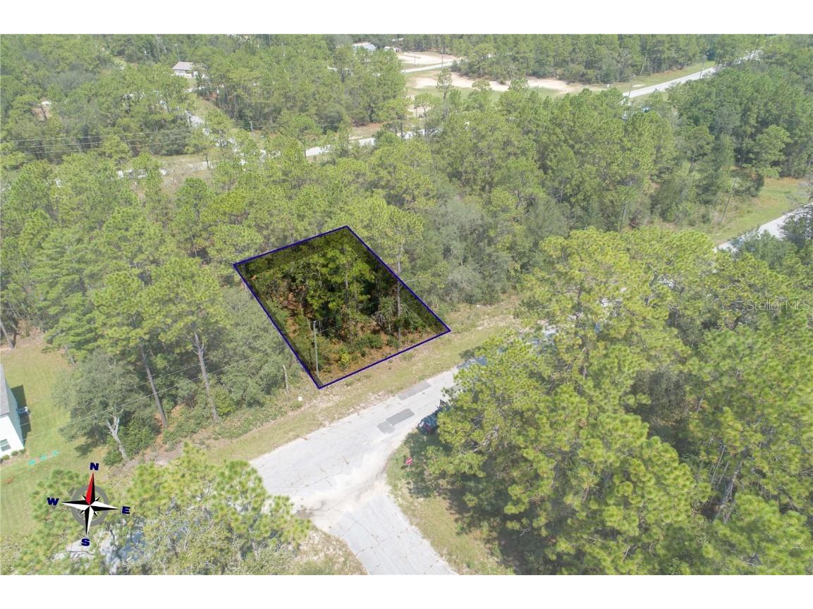 9664 N Gaillardia Way Citrus Springs FL 34434 OM663502 image1