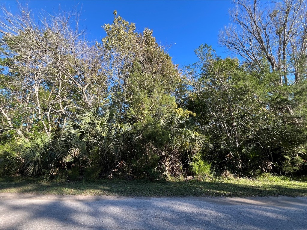 9667 S Lotus Point Homosassa FL 34448 OK225683 image4