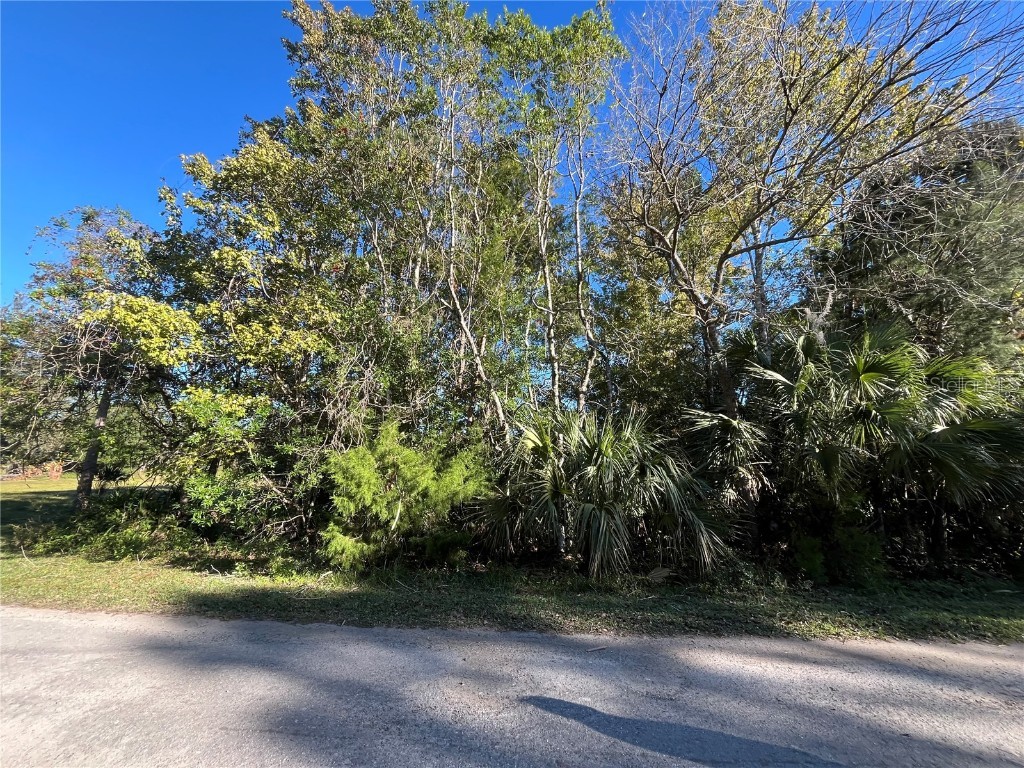 9667 S Lotus Point Homosassa FL 34448 OK225683 image5