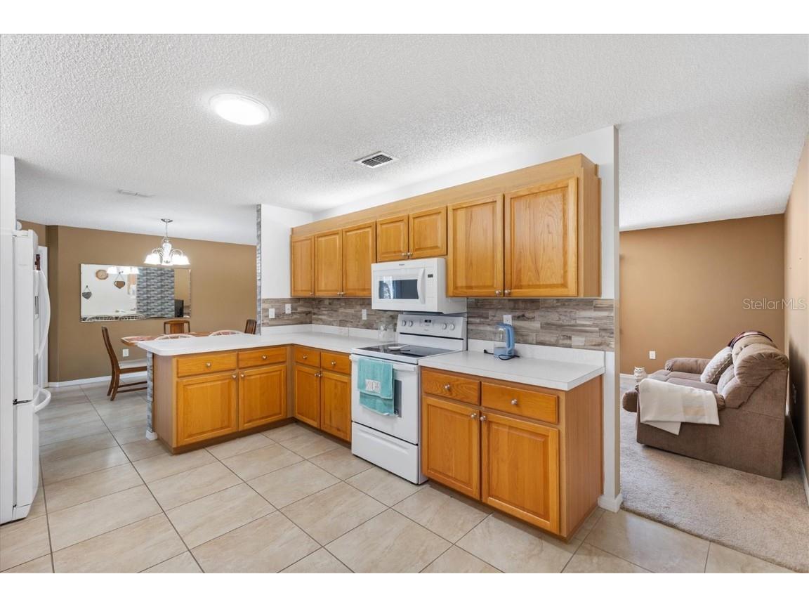 9667 SE 173rd Lane Summerfield FL 34491 OM707768 image15