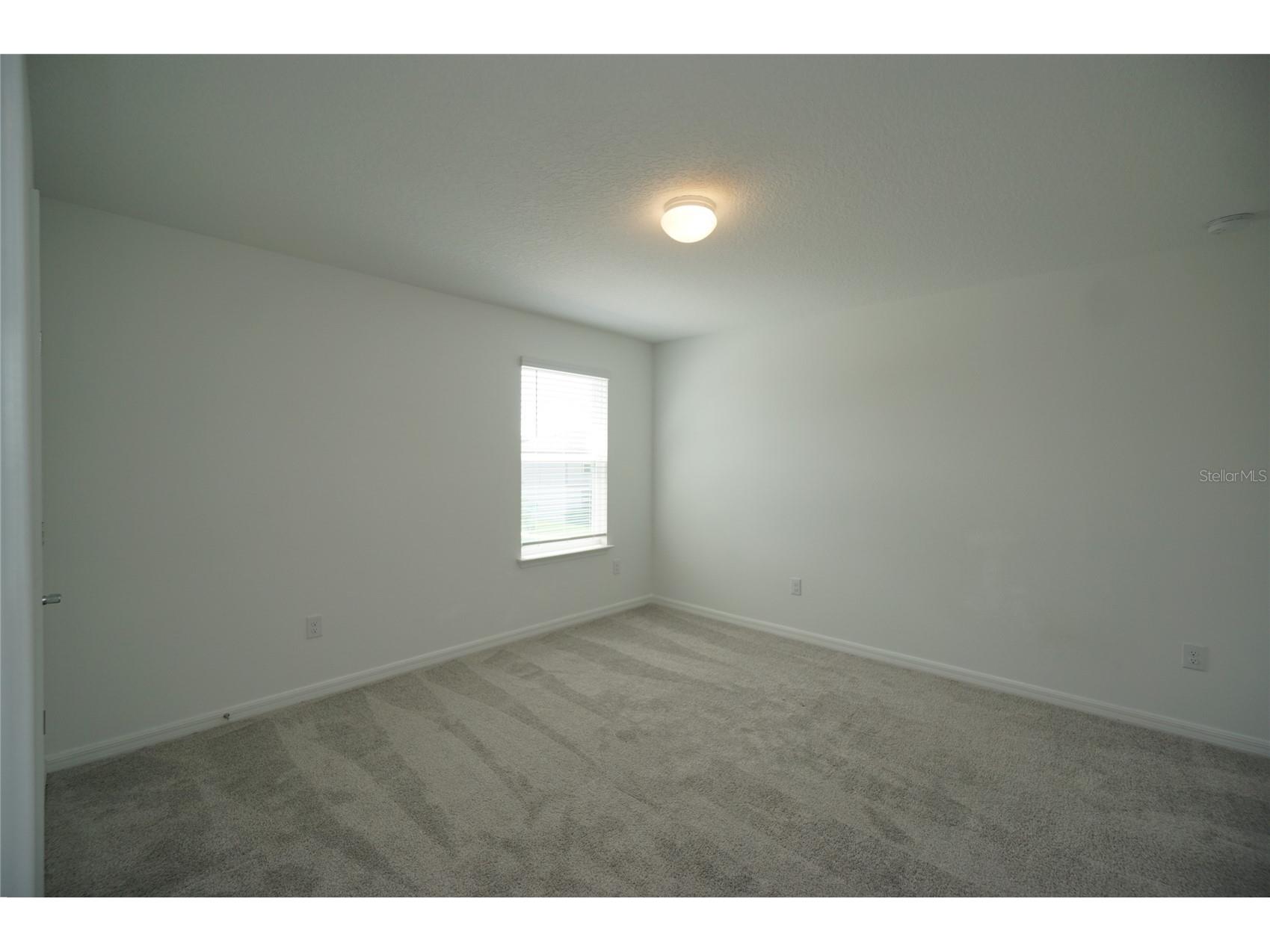 9667 Summers Cay Circle Thonotosassa FL 33592 TB8527518 image11