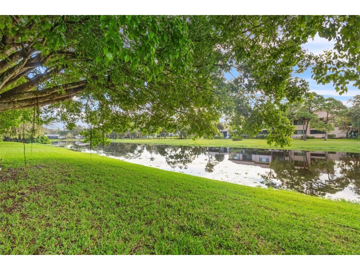 9669 86th Avenue #9669 Seminole FL 33777 - LONG BAYOU TB8450137 image4