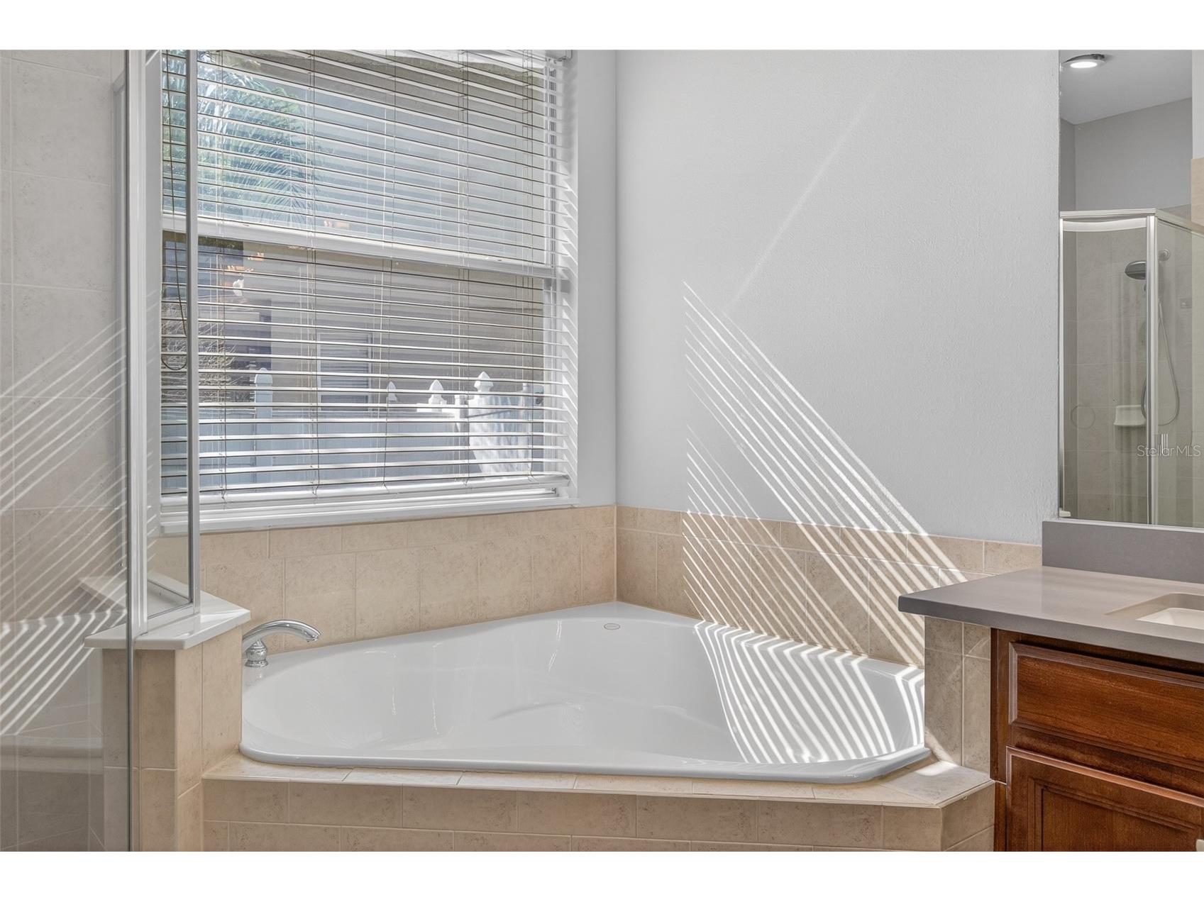 9669 Leland Drive Orlando FL 32827 O6408810 image32