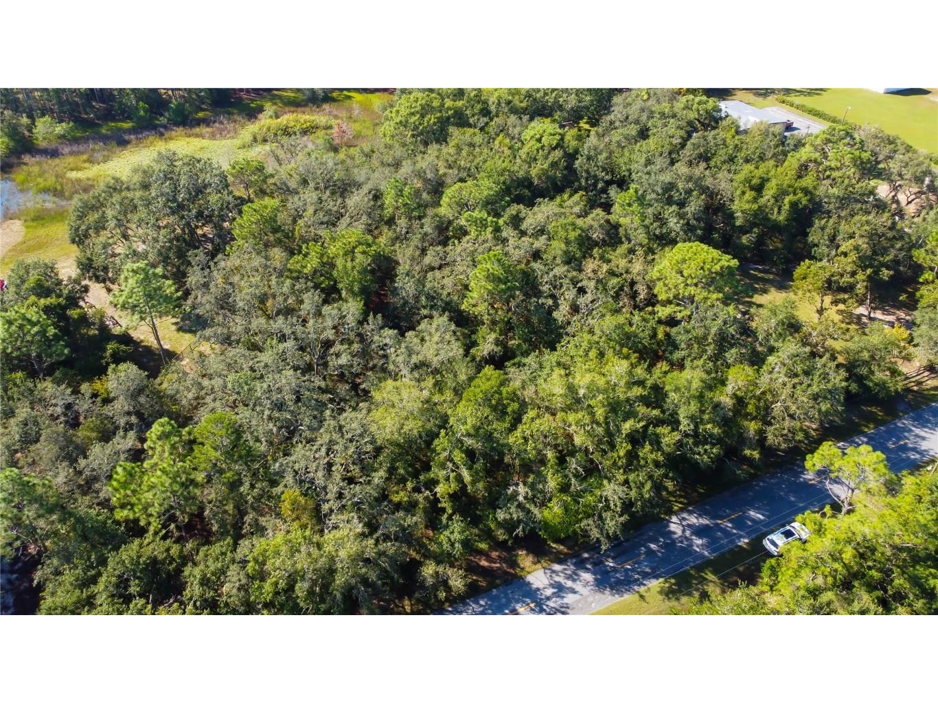 9670 Star Trl New Port Richey FL 34654 TB8430389 image10